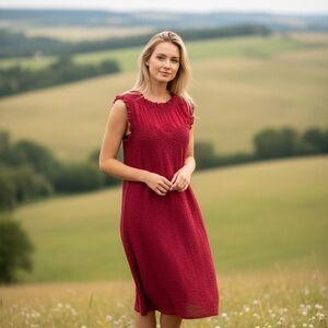 Anthropologie Scarlet Ruffle Mini Dress